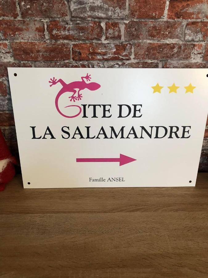 Gite De La Salamandre - 4 A 8 Personnes Lapoutroie Luaran gambar